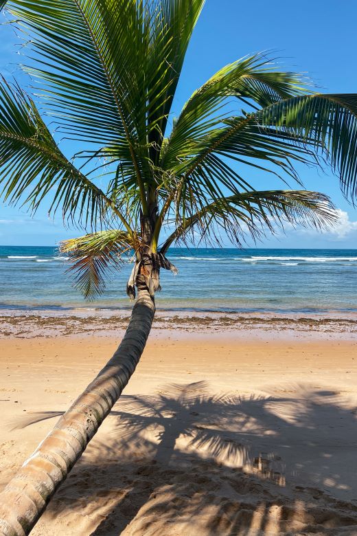 Praia na Península de Maraú