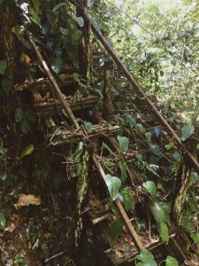 Trilha com escadas em Pedra Caída