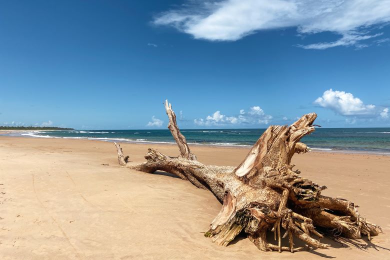 Praia de Algodões
