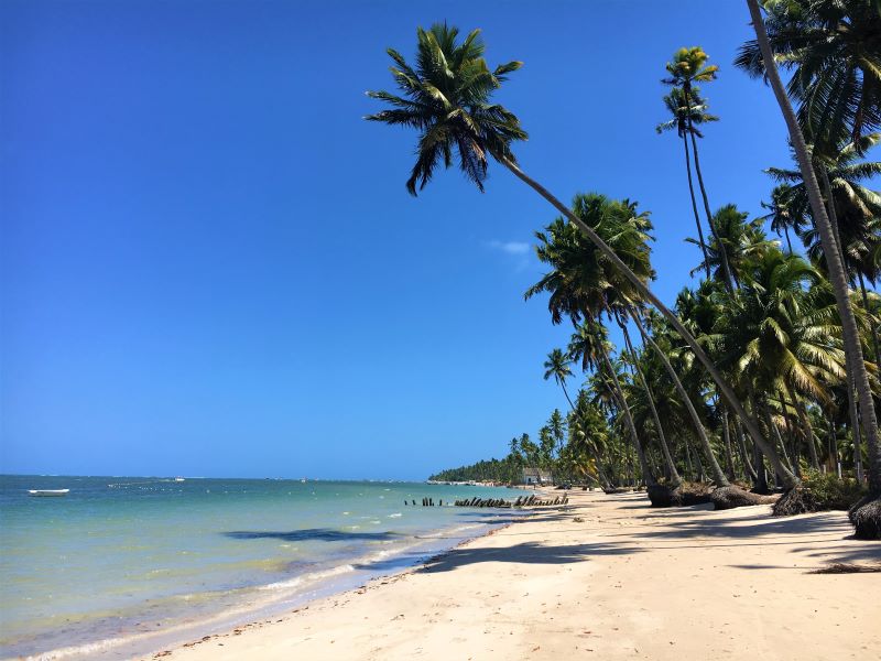 Praia dos Carneiros, Tamandaré, Pernambuco