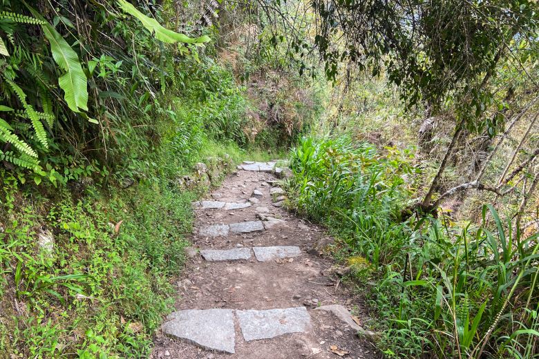 Trilha de Águas Calientes para Machu Picchu