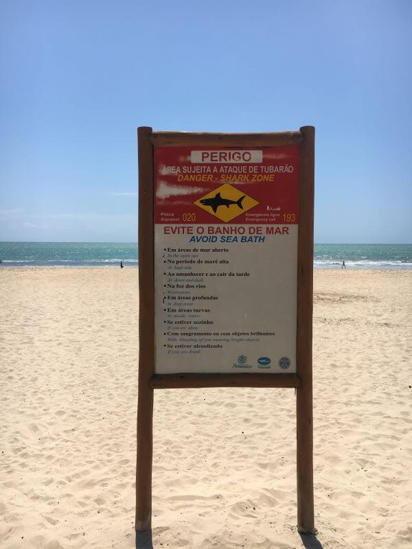 Perigo de tubarões na praia de Boa Viagem em Recife